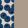 Blue circles, star cutouts, beige baby pajamas—super soft Tiny Knot Co